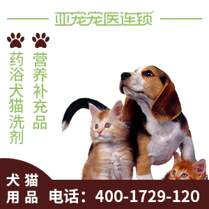 四开门冰箱尺寸全解析,选购更省心,第2张 四开门冰箱尺寸全解析,选购更省心,四开门冰箱尺寸全解析,选购更省心,第2张