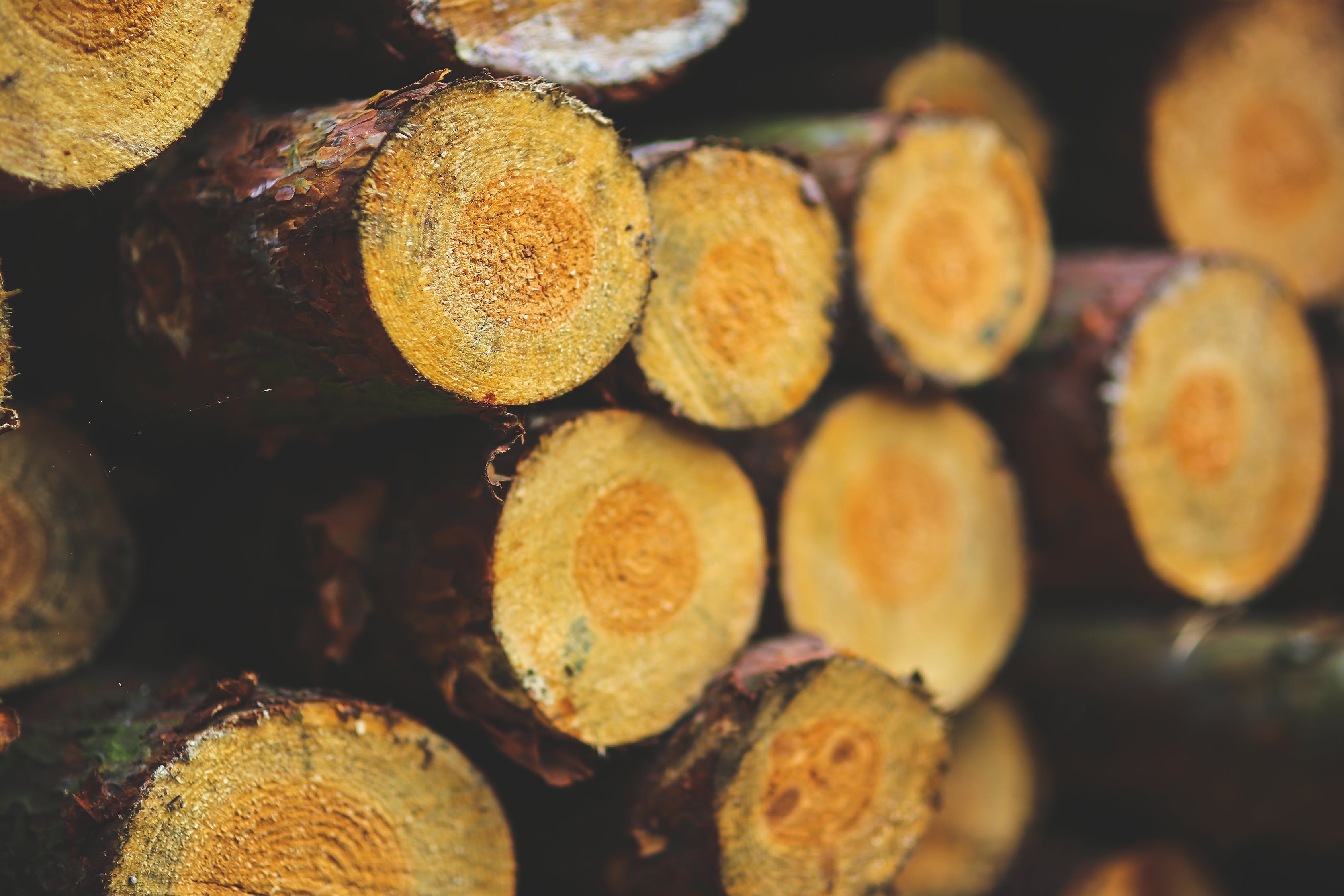 原木楼梯图片（欣赏原木楼梯的美丽设计）,原木楼梯图片（欣赏原木楼梯的美丽设计）,第2张