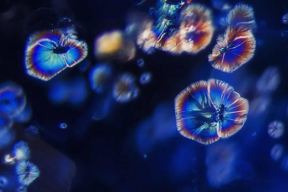 哥凡尼冰晶画制作过程让你见识真正的艺术创造力,哥凡尼冰晶画制作过程让你见识真正的艺术创造力,第3张