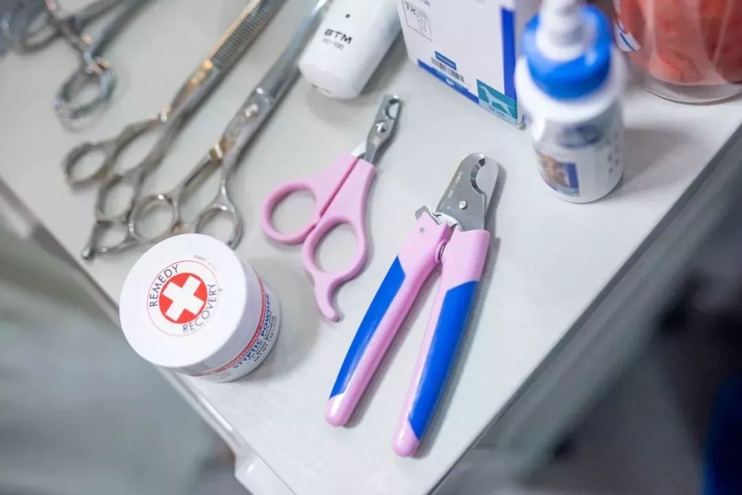 劳保用品清单明细表(详细列出劳保用品清单),第2张 劳保用品清单明细表(详细列出劳保用品清单),劳保用品清单明细表(详细列出劳保用品清单),第2张