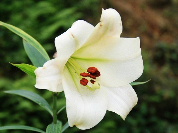 咖啡机家用（选购指南与使用技巧）,咖啡机家用（选购指南与使用技巧）,第2张