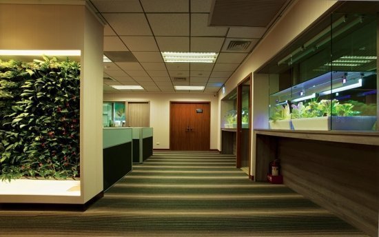 光明家具与双叶哪个好（比较光明家具和双叶的产品质量和价格）,光明家具与双叶哪个好（比较光明家具和双叶的产品质量和价格）,第2张