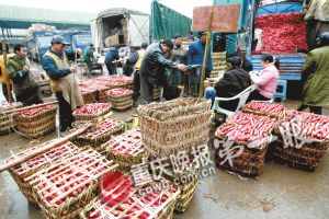 全国哪里卫浴批发便宜（揭秘卫浴批发市场价格）,全国哪里卫浴批发便宜（揭秘卫浴批发市场价格）,第1张