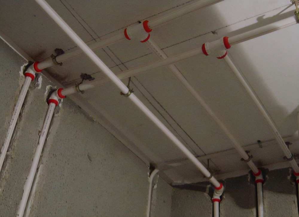 太阳花花语是什么意思（探究太阳花的象征意义与文化内涵）,太阳花花语是什么意思（探究太阳花的象征意义与文化内涵）,第1张