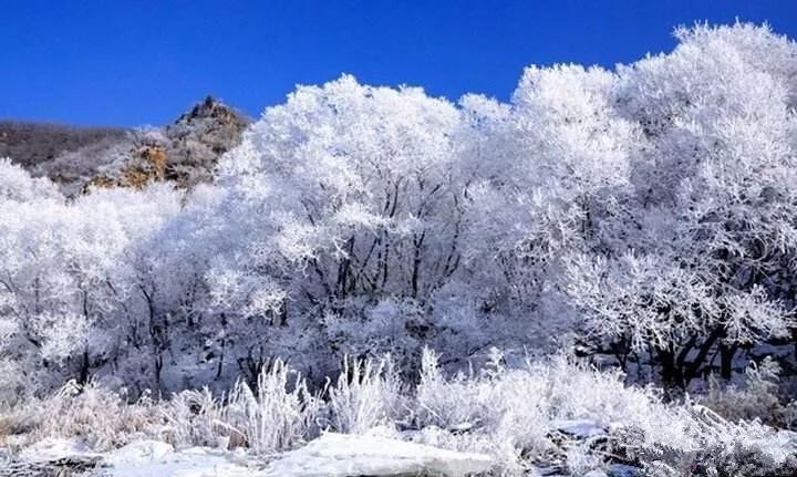 厨房刀具排行（厨房刀具品牌排行榜前十名）,厨房刀具排行（厨房刀具品牌排行榜前十名）,第1张