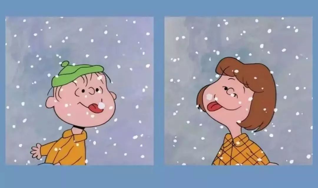 唯美花语短句，让你的爱意绽放,唯美花语短句，让你的爱意绽放,第1张