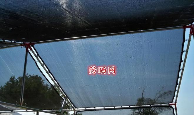 墙布的选择，影响你家的风水大局,墙布的选择，影响你家的风水大局,第1张