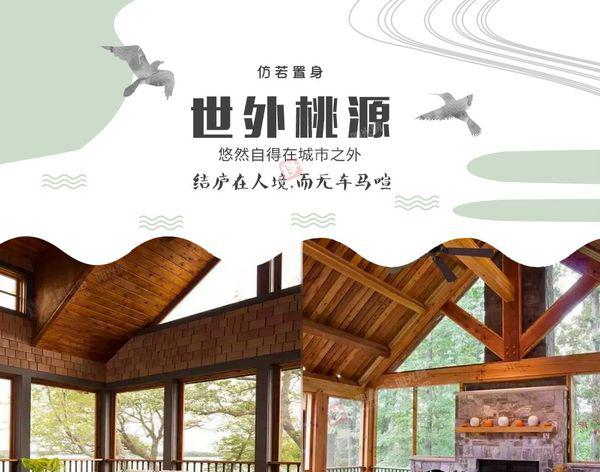 国内最好的花洒品牌推荐及购买指南,第1张 国内最好的花洒品牌推荐及购买指南,国内最好的花洒品牌推荐及购买指南,第1张