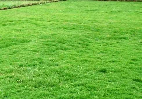 吸顶灯怎么换灯泡（详细步骤及注意事项）,吸顶灯怎么换灯泡（详细步骤及注意事项）,第2张