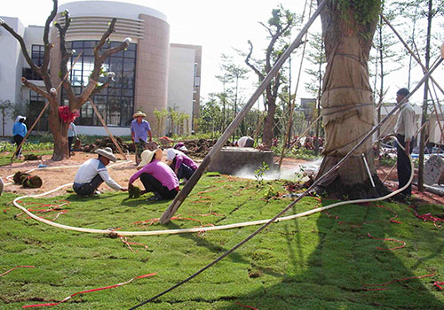 创意家居设计网站推荐，让你的家变得更有品位,创意家居设计网站推荐，让你的家变得更有品位,第1张