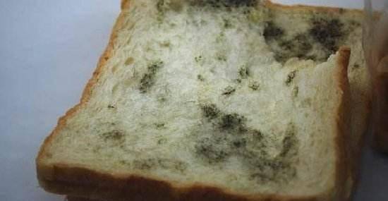 墙纸发霉应该怎么处理？,墙纸发霉应该怎么处理？,第2张