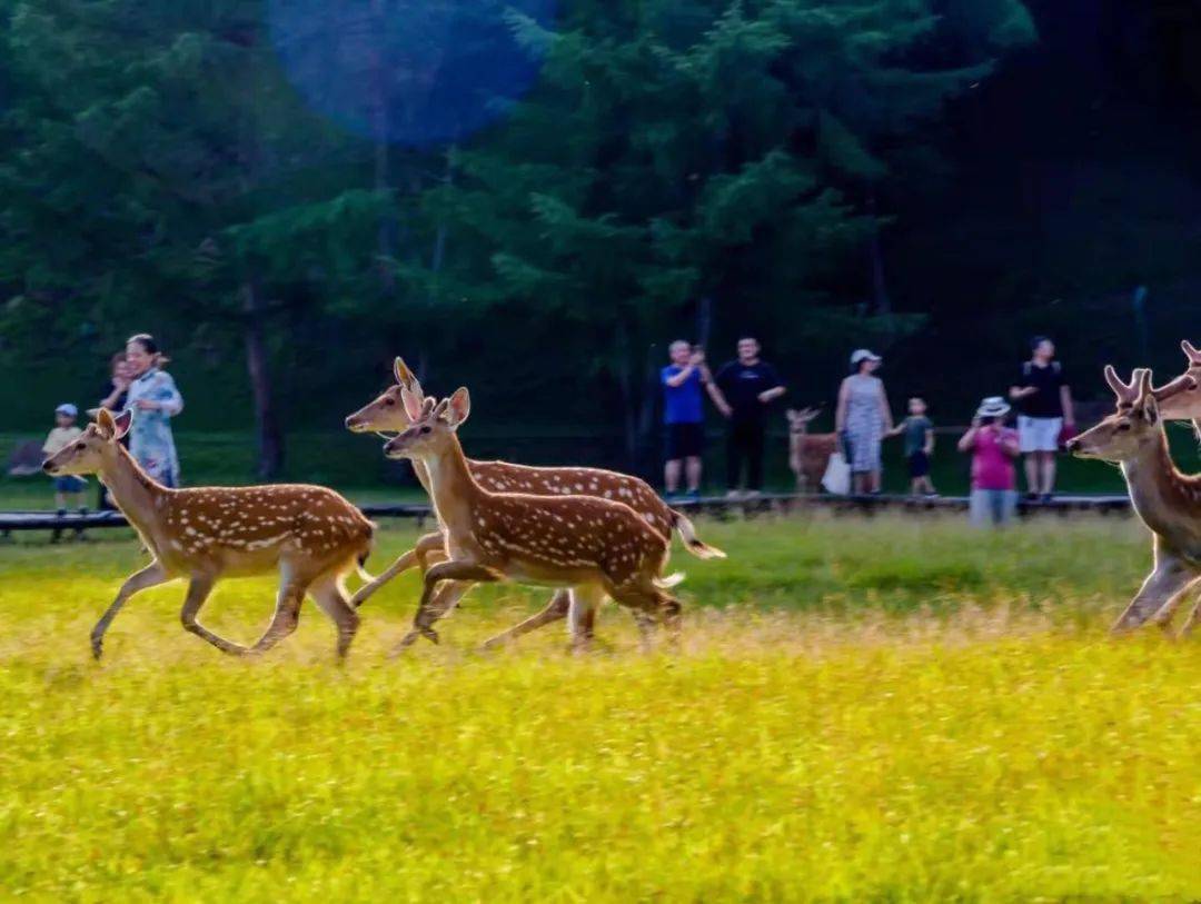 塑料喷头图片大全，为什么你需要了解它们的种类和用途？,塑料喷头图片大全，为什么你需要了解它们的种类和用途？,第2张