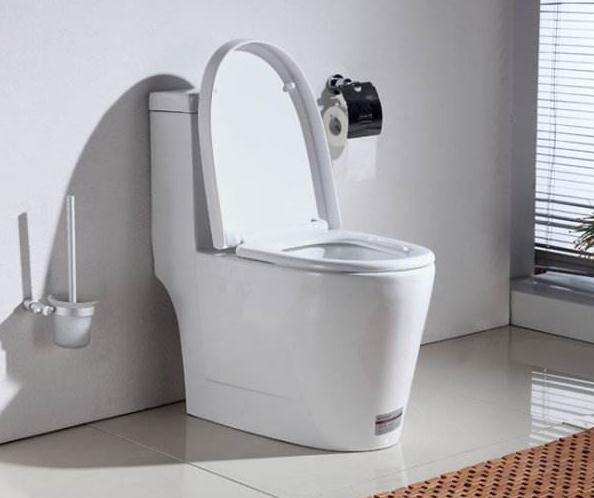 坐马桶图片（让你的卫生间更加时尚和舒适）,坐马桶图片（让你的卫生间更加时尚和舒适）,第2张