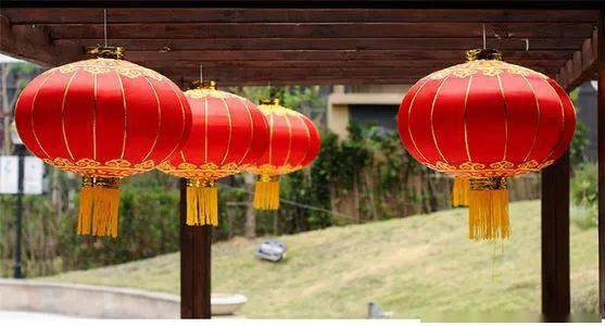 地灯笼草的功效与作用详解,地灯笼草的功效与作用详解,第1张